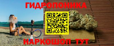 шишки Донецк