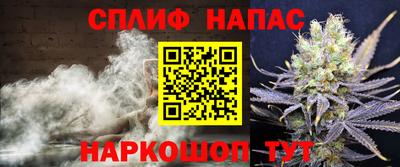 сатива Дубна