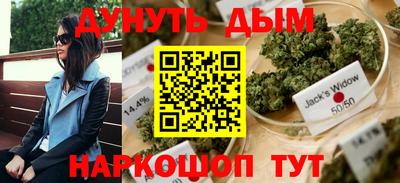 сатива Дубна