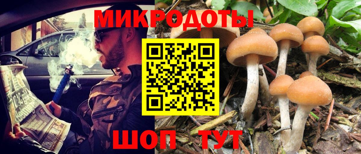 Псилоцибиновые грибы GOLDEN TEACHER  Вход с VPN  Муравленко 