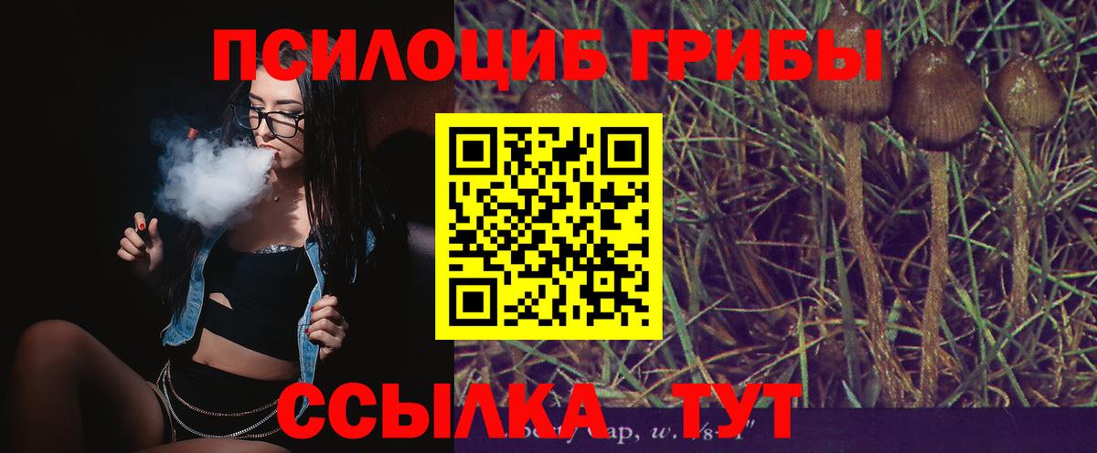 Псилоцибиновые грибы Cubensis Муравленко
