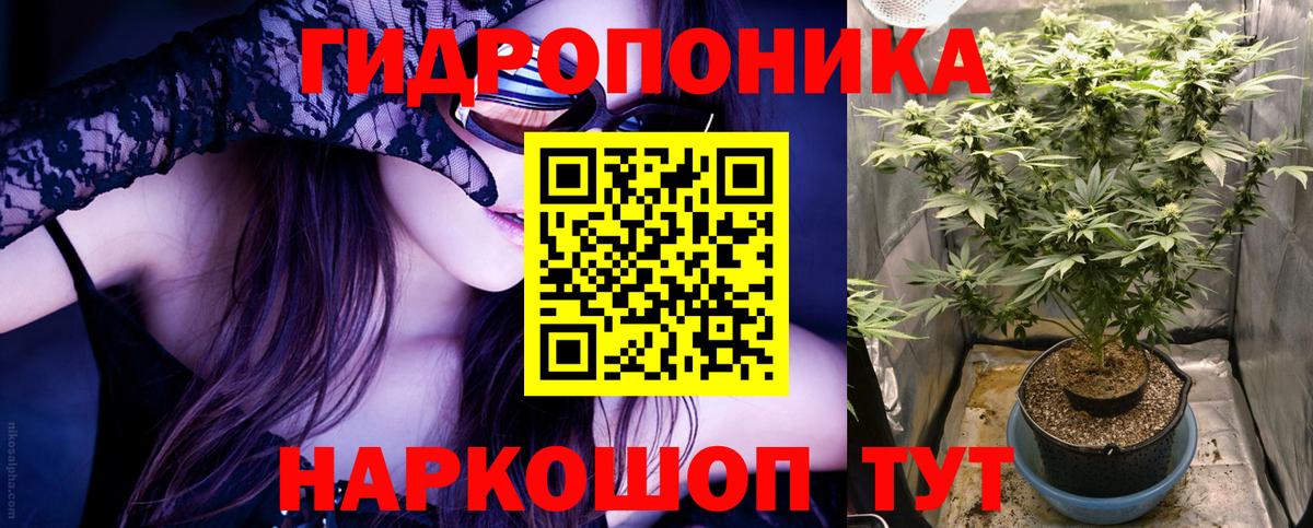 Шишки марихуана MAZAR  Вход с VPN  Бошки марихуана тримм  Муравленко  Конопля OG Kush 
